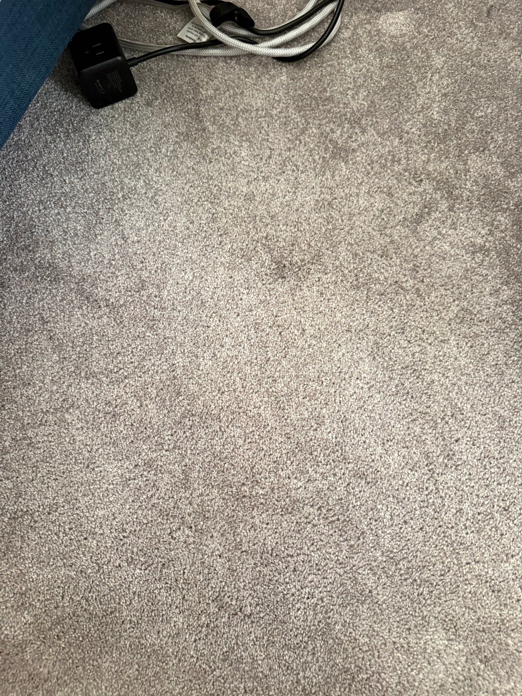After: The same carpet after stain treatment with the mark gone